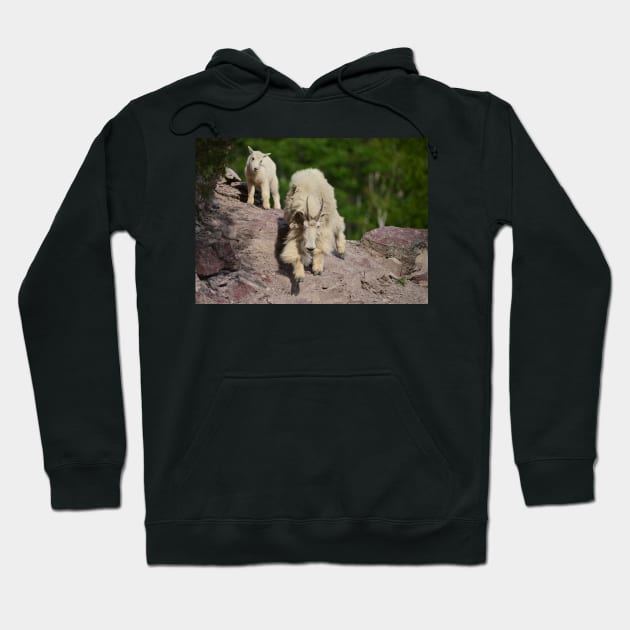 Mountain Goat Nanny and Kid Hoodie by Whisperingpeaks